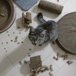 猫いたずら